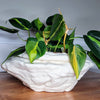 Large Natural Stone Self Watering Planter