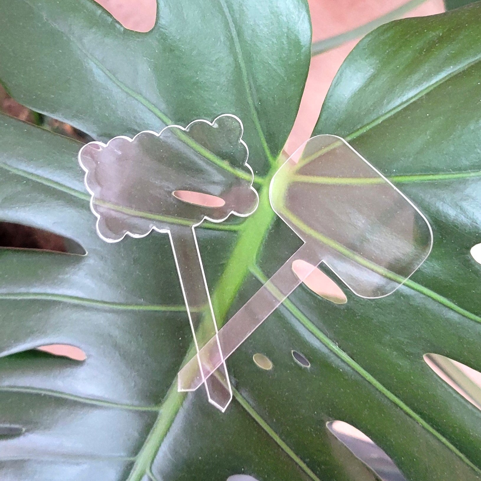 Acrylic Plant Label Stakes