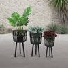 Bamboo Tripod Base Planters 11' & 15"- Black