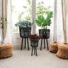 Bamboo Tripod Base Planters 11' & 15"- Black