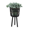 Bamboo Tripod Base Planters 11' & 15"- Black