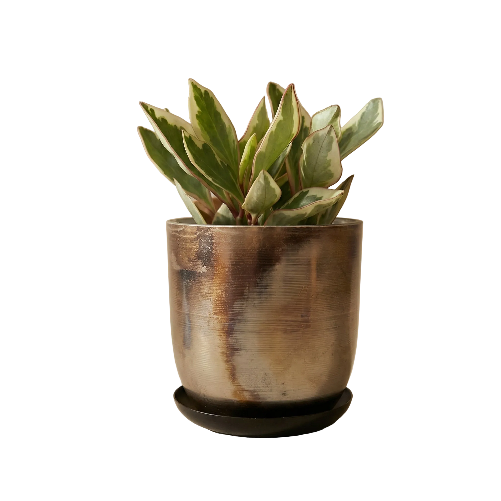 Jo Artisan Patina Brushed Metal Planter