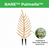 BARE™ Palmella™ - Customizable wooden plant support - Inspired by the Palm leaf