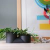 Modern & Unique Double Planter