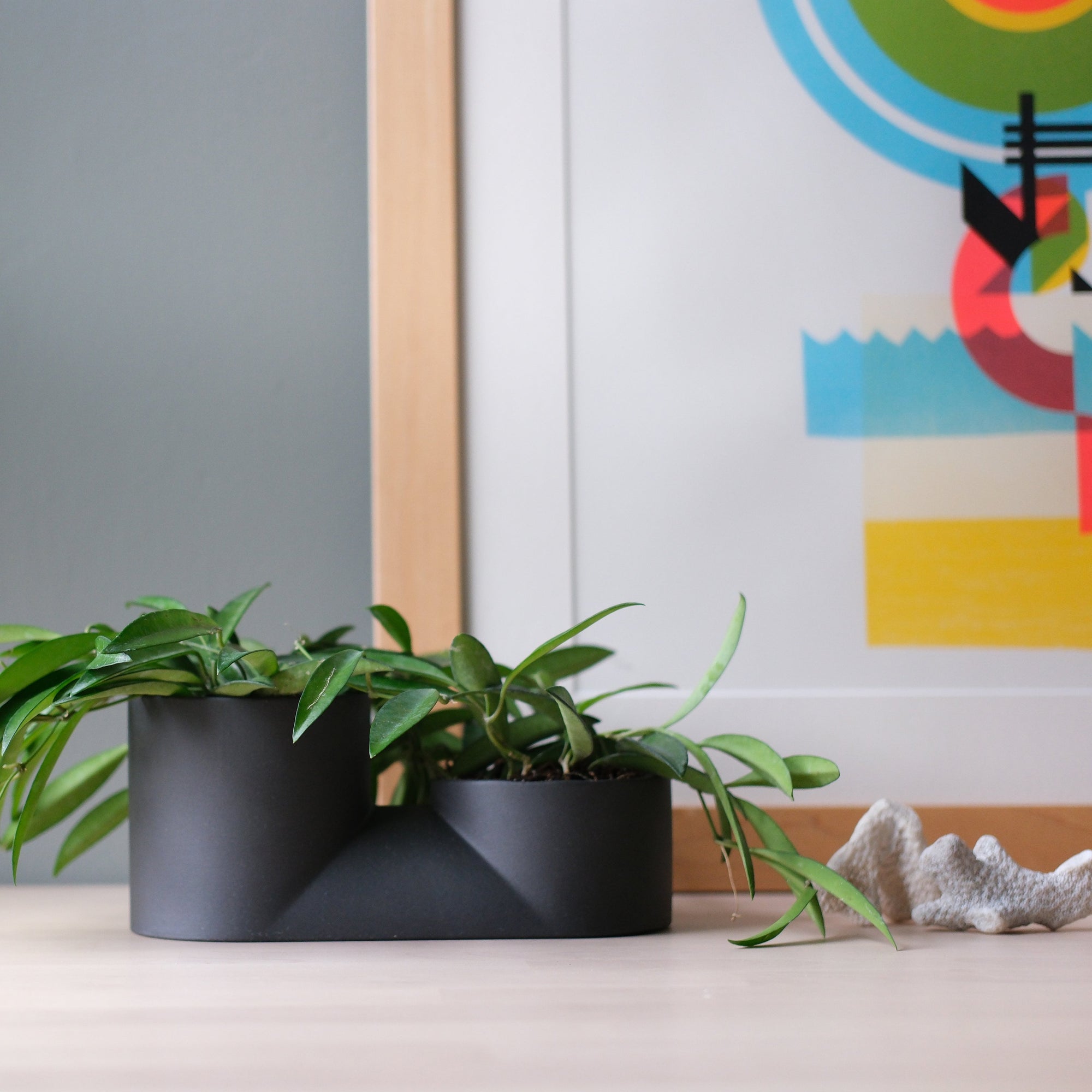Modern & Unique Double Planter