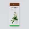 Cactrella - Plant trellis inspired by the Barrel Cactus