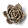Ceramic Flower Wall Art Succulent Blue 12: Succulent Light Blue