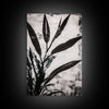 Minimalist Botanical Wall Decor