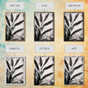Minimalist Botanical Wall Decor