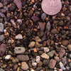 CACTUS & SUCCULENT Premium Potting Mix