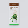 Monstrella - Plant trellis inspired by the Monstera Leaf