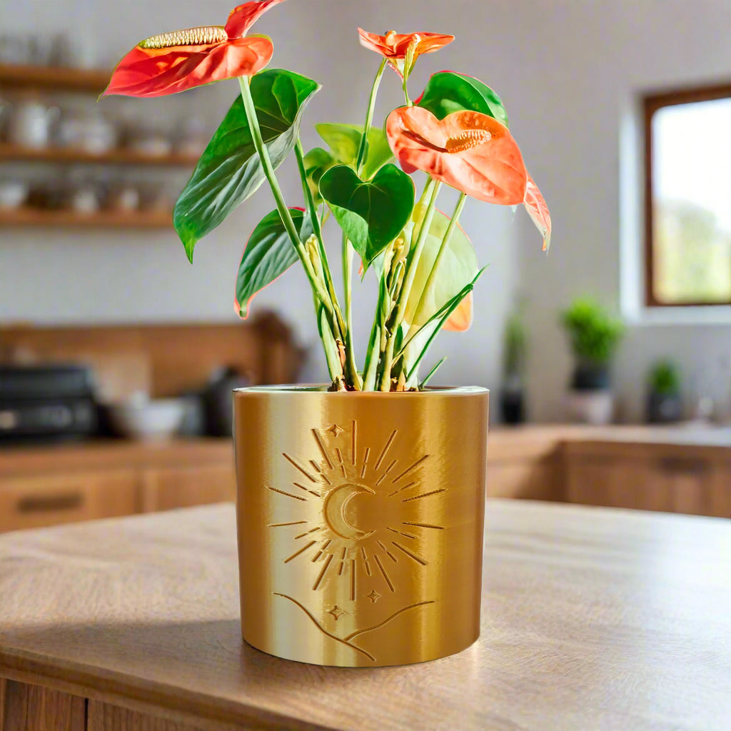 Moon Planter w/ drainage