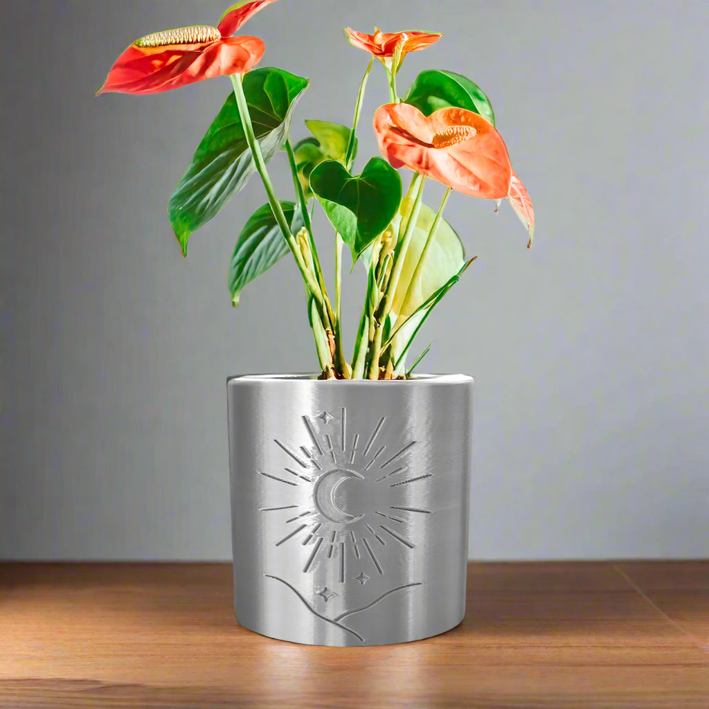 Moon Planter w/ drainage