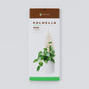 Palmella - Plant trellis inspired by the Palm Leaf