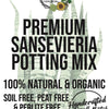 SANSEVIERIA Snake Plant Premium Potting Mix