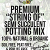 STRING OF SEMI SUCCULENT Premium Potting Mix