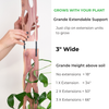 Zella - Wooden Extendable Plant Support