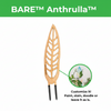 BARE™ Anthrulla™ - Customizable wooden plant support - Inspired by the Queen Anthurium leaf