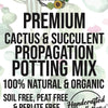 CACTUS & SUCCULENT Premium Potting Mix