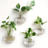 Glass Terrarium Set Wall Planters/ Propagation Station