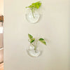 Glass Terrarium Set Wall Planters/ Propagation Station