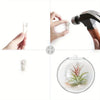 Glass Terrarium Set Wall Planters/ Propagation Station