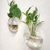 Glass Terrarium Set Wall Planters/ Propagation Station