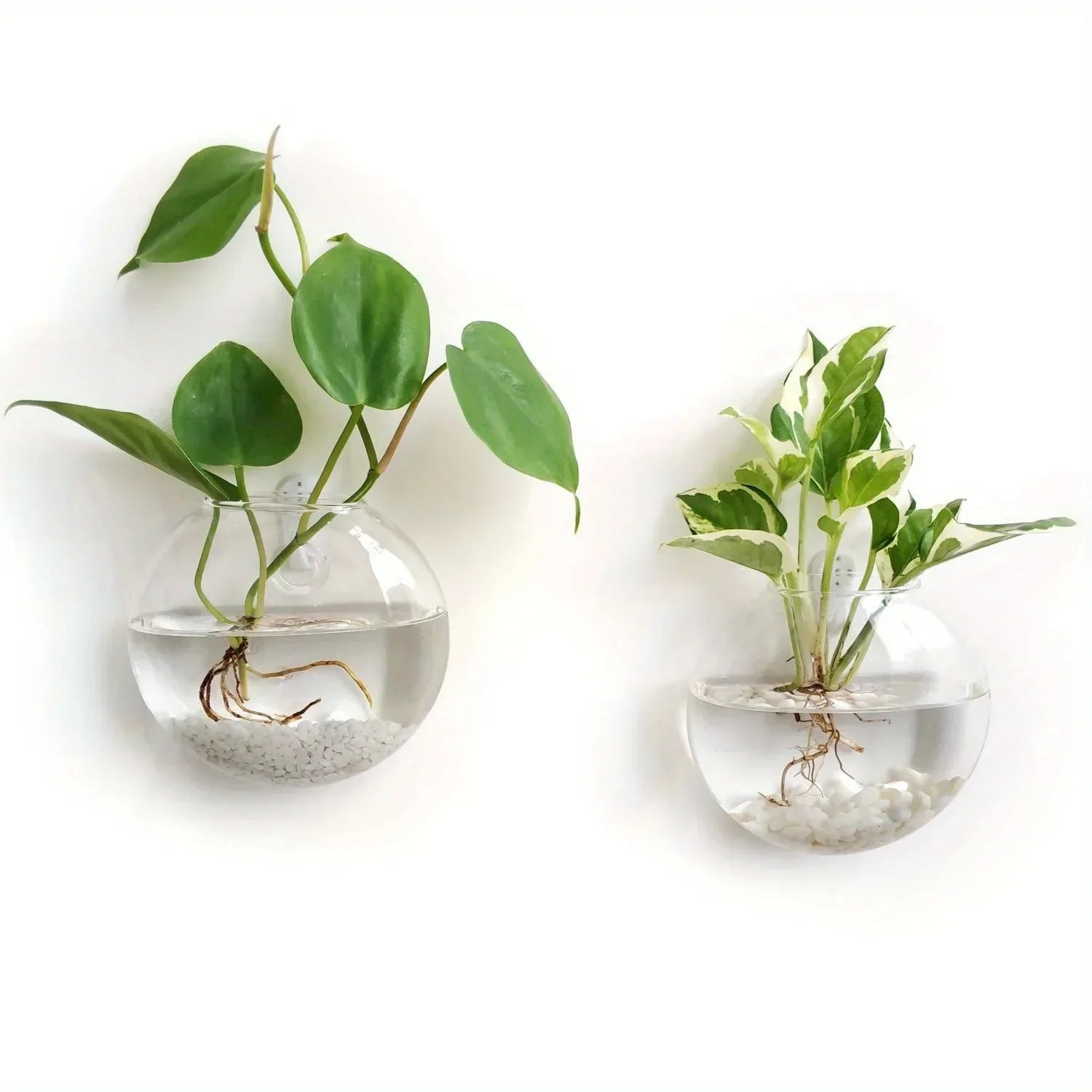 Glass Terrarium Set Wall Planters/ Propagation Station