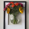 Glass Terrarium Set Wall Planters/ Propagation Station