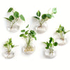 Glass Terrarium Set Wall Planters/ Propagation Station