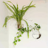 Glass Terrarium Set Wall Planters/ Propagation Station
