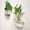 Glass Terrarium Set Wall Planters/ Propagation Station
