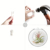Glass Terrarium Set Wall Planters/ Propagation Station