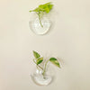 Glass Terrarium Set Wall Planters/ Propagation Station
