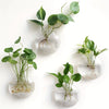 Glass Terrarium Set Wall Planters/ Propagation Station