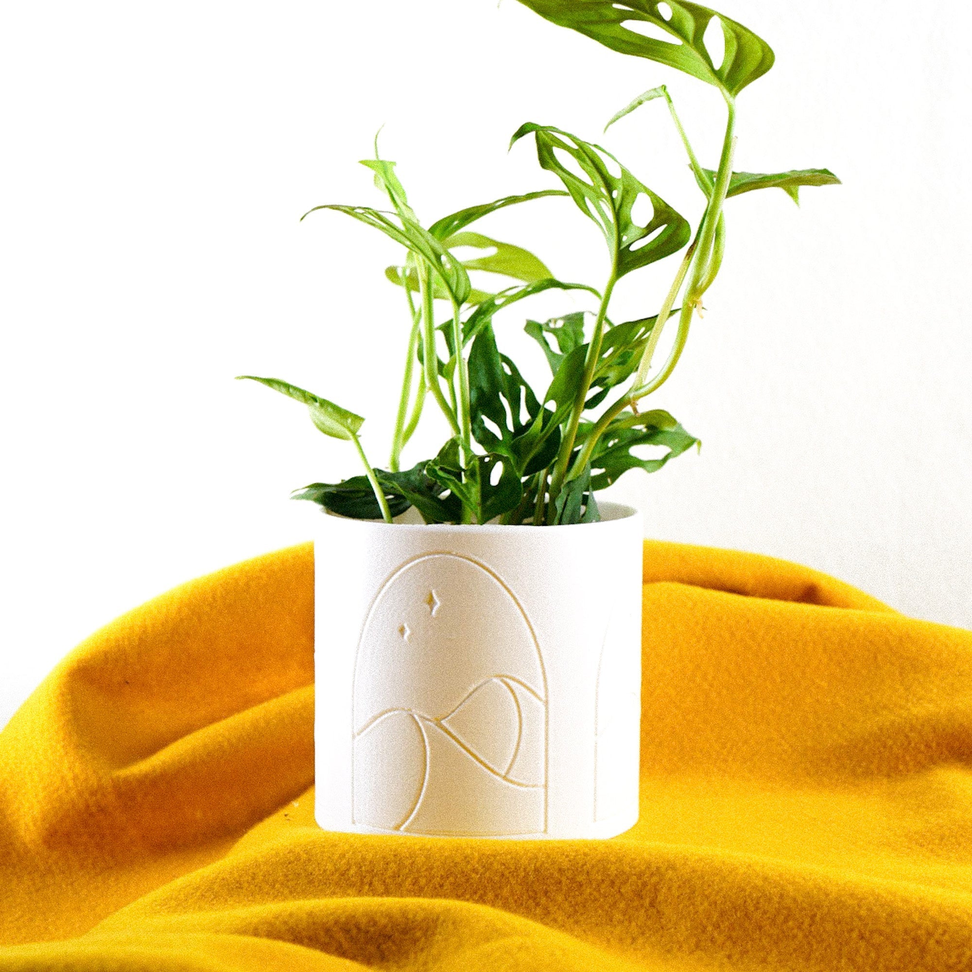 Desert Scape Planter( Available In Multiple Colors & Sizes)