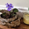 Large Natural Stone Self Watering Planter