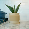 Half Mid-Century Ribbed Planter with Drainage and Saucer (Available in Multiple Colors & Sizes)