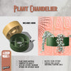 Hanging Chandelier Planter with Drainage (Available in Multiple Sizes & Colors)