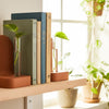 Ribbed Modern Bookend Propagation Station