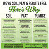 CACTUS & SUCCULENT Premium Potting Mix