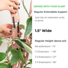 Zella - Wooden Extendable Plant Support